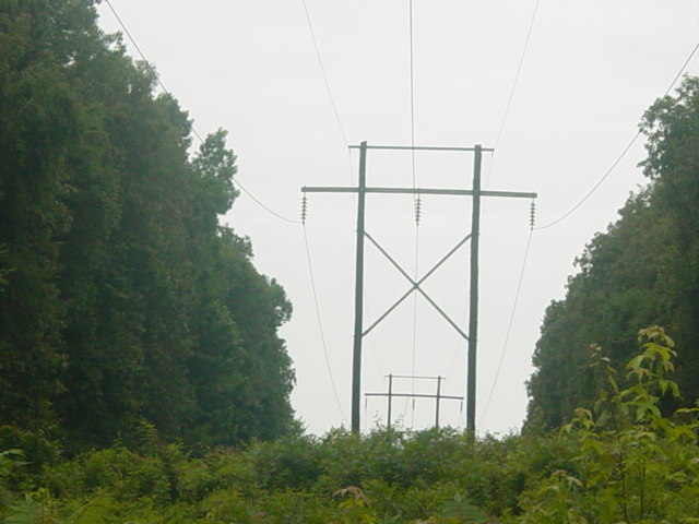 Power Line on Mt. Olympus