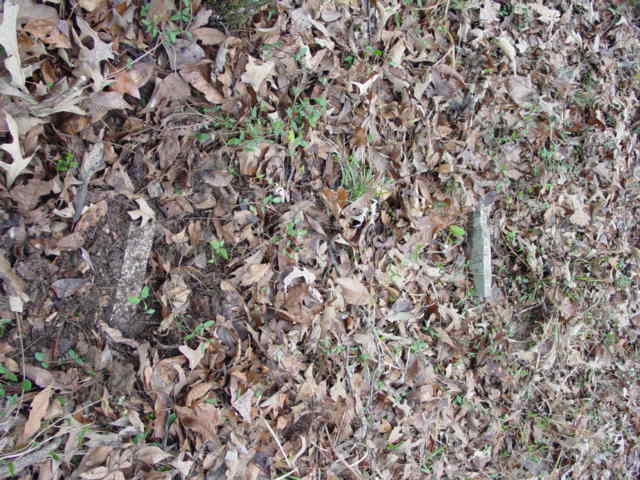 Unknown Child's Grave